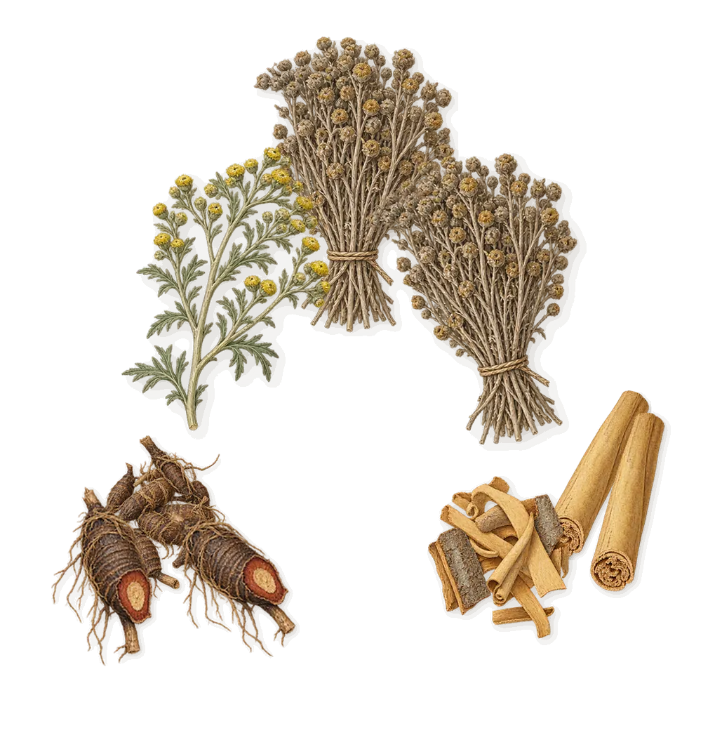 Eragon, as it settles: Cinnamon, Davana, Cypriol
