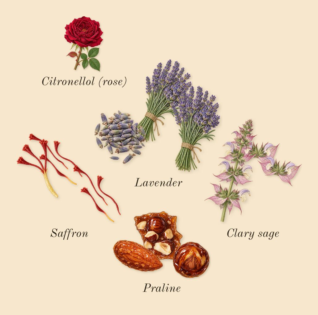 Haltane, heart: Saffron, Praline, Lavender, Clary sage, Citronellol (rose)