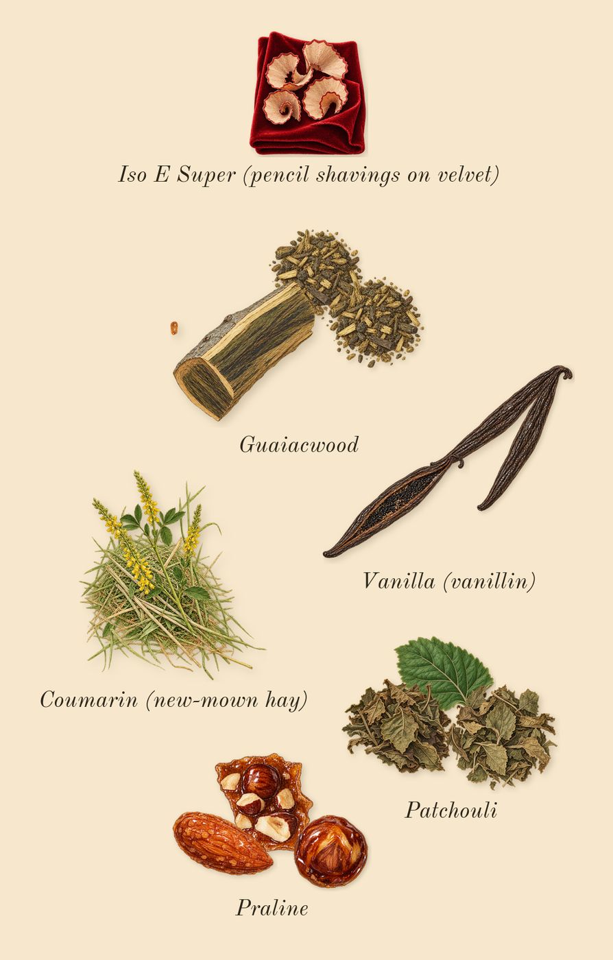 Layton, dry-down: Patchouli, Vanilla (vanillin), Guaiacwood, Praline, Iso E Super (pencil shavings on velvet), Coumarin (new-mown hay)