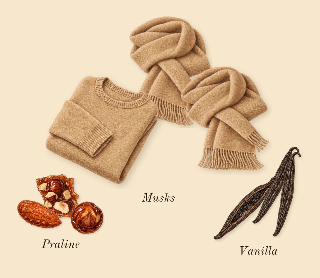 Meliora, dry-down: Vanilla, Musks, Praline