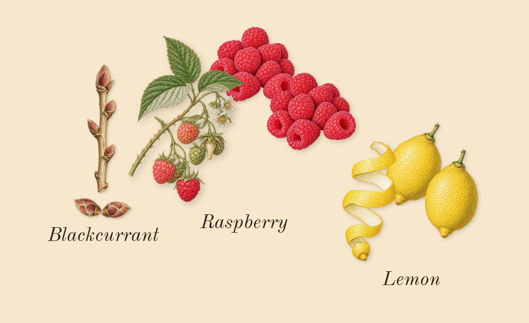 Meliora, top notes: Blackcurrant, Raspberry, Lemon