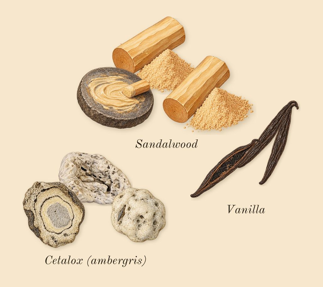 Pegasus, dry-down: Cetalox (ambergris), Vanilla, Sandalwood