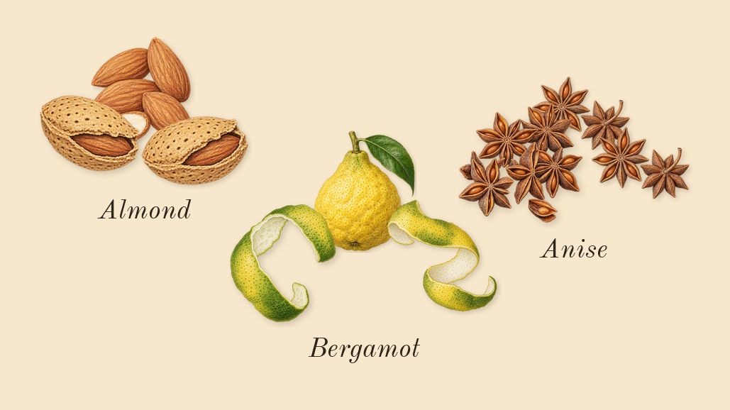 Pegasus, top notes: Anise, Bergamot, Almond