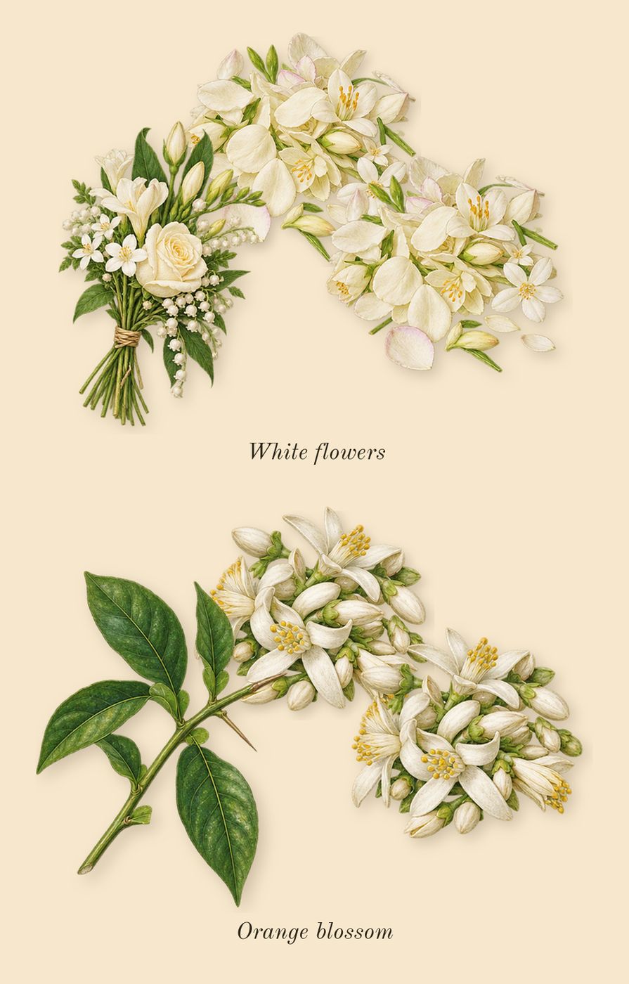 Valaya, heart: Orange blossom, White flowers