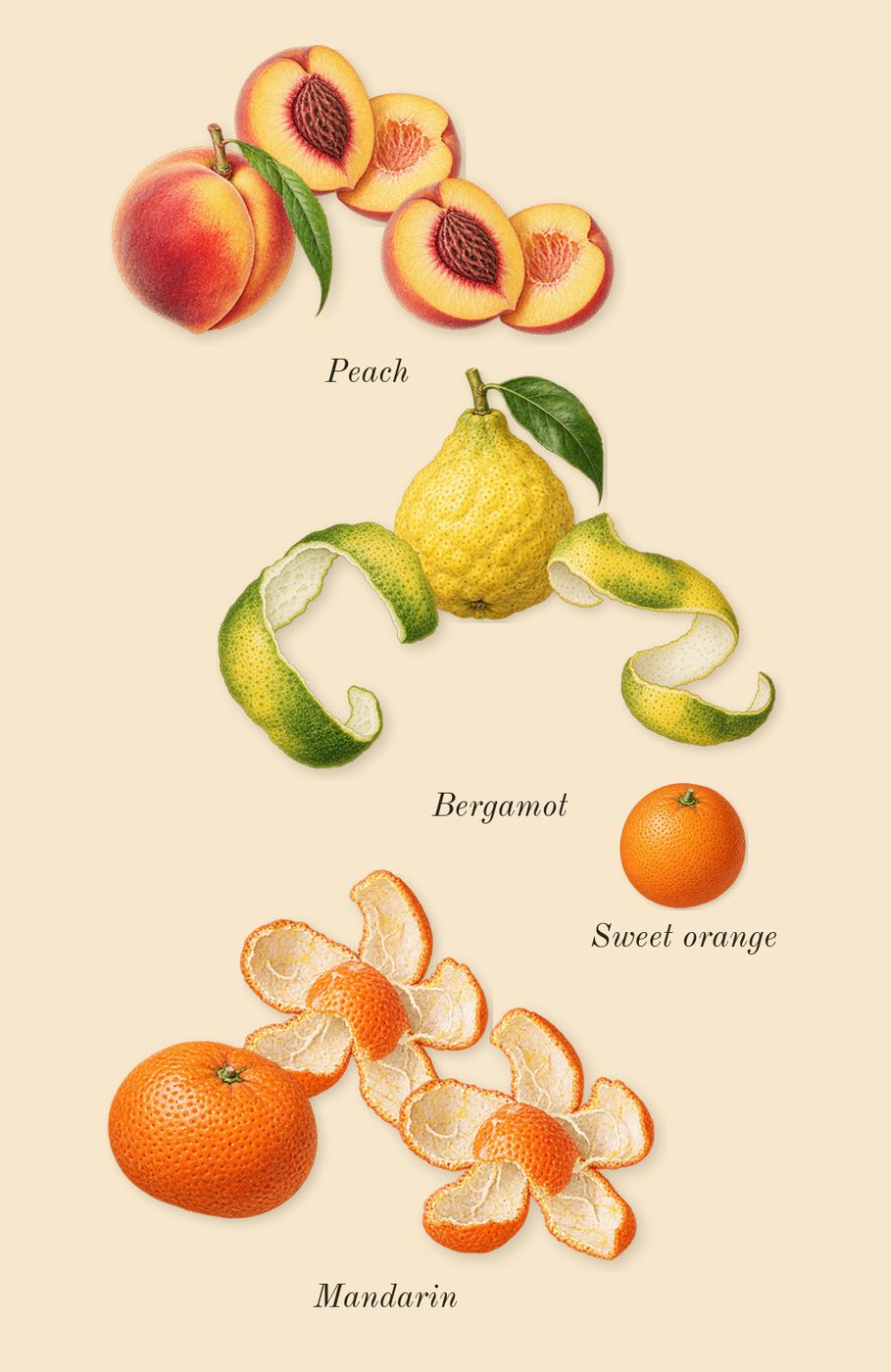 Valaya, top notes: Bergamot, Mandarin, Peach, Sweet orange