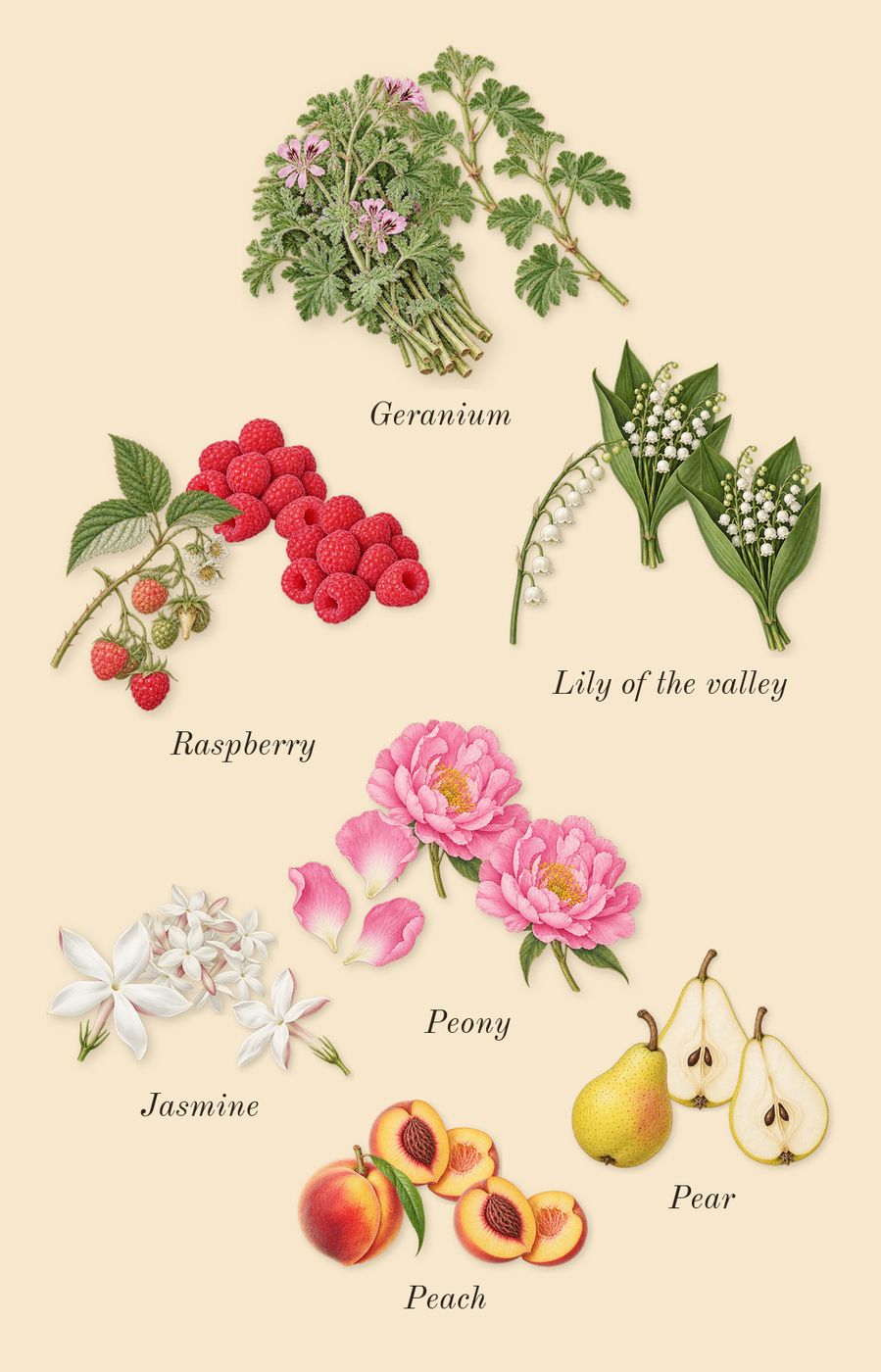 Khair Pistachio, heart: Geranium, Peony, Lily of the valley, Jasmine, Raspberry, Peach, Pear