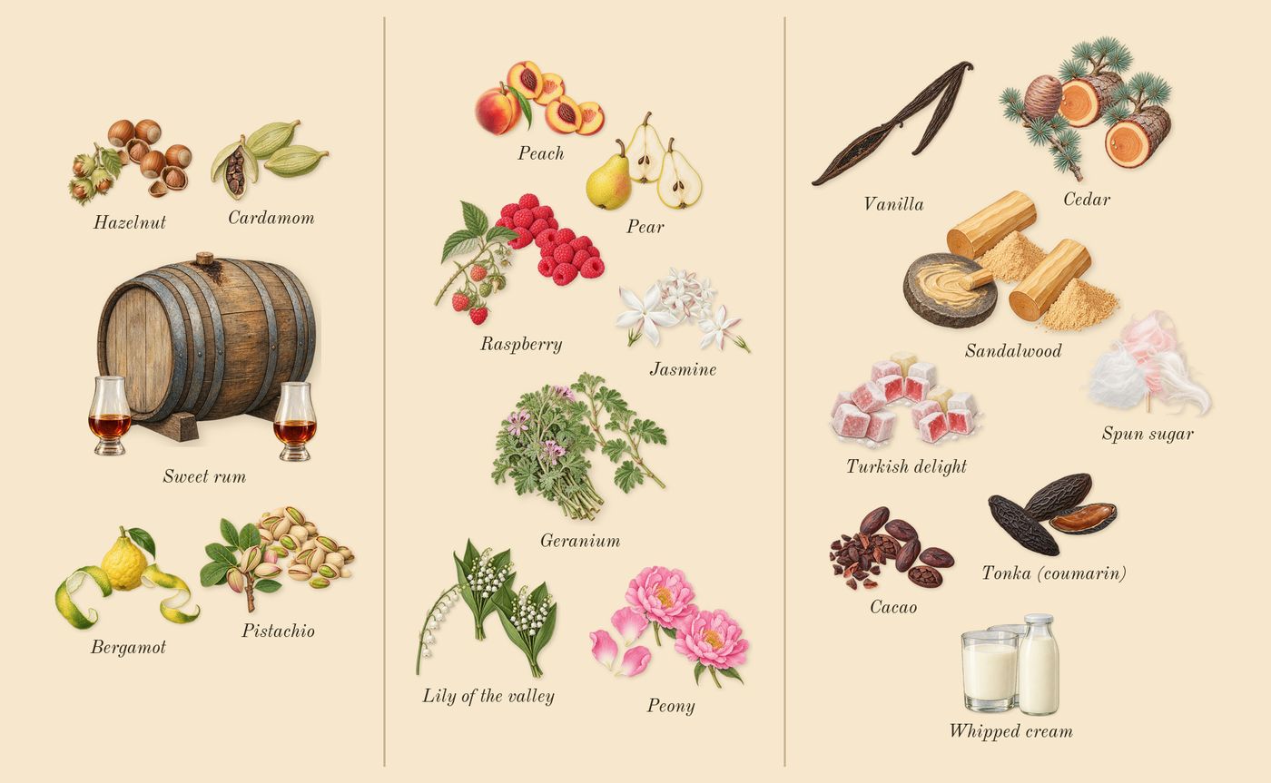 Khair Pistachio’s scent picture, a draft: bergamot, pistachio, hazelnut, sweet rum, cardamom, geranium drawn so far; dashed outlines where nothing is drawn yet