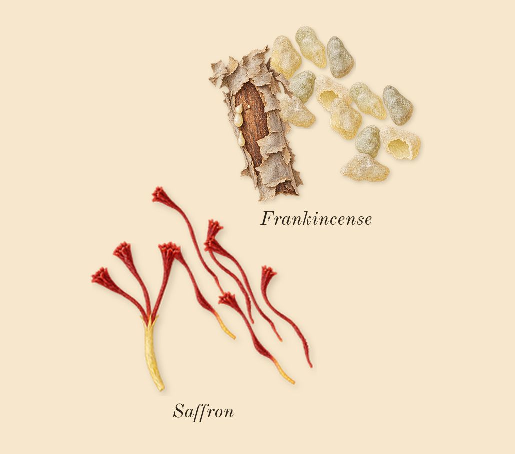 Rifaaqat, heart: Frankincense, Saffron