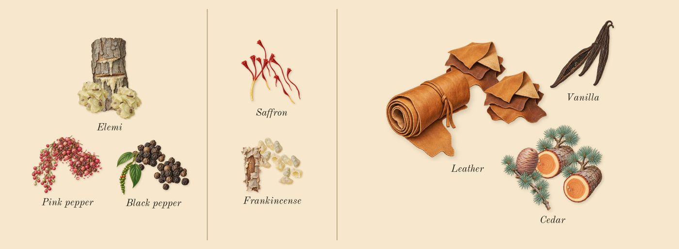 Rifaaqat’s scent picture, a draft: black pepper, pink pepper, elemi, frankincense, saffron, vanilla drawn so far; dashed outlines where nothing is drawn yet