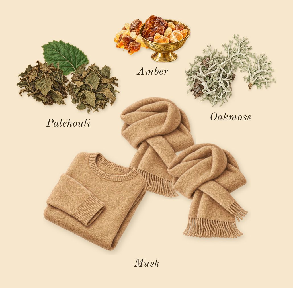 Just Me for Men, dry-down: Patchouli, Oakmoss, Amber, Musk