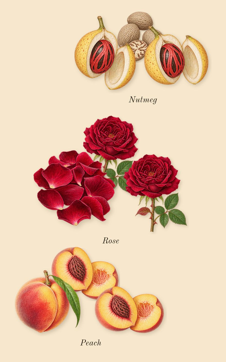 Empressa, heart: Peach, Rose, Nutmeg
