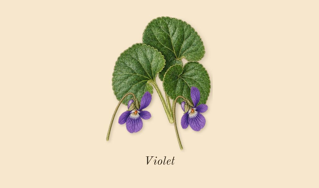 Fortuitous Finley, heart: Violet