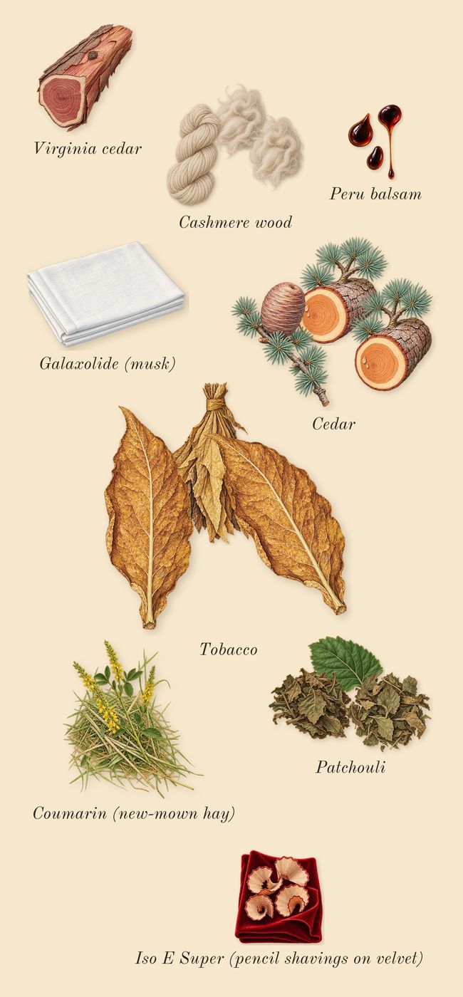 The Blazing Mister Sam, dry-down: Cedar, Patchouli, Cashmere wood, Tobacco, Virginia cedar, Peru balsam, Iso E Super (pencil shavings on velvet), Coumarin (new-mown hay), Galaxolide (musk)