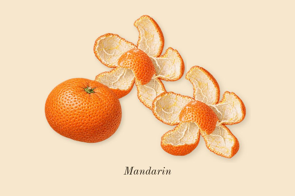 The Coveted Duchess Rose, top notes: Mandarin