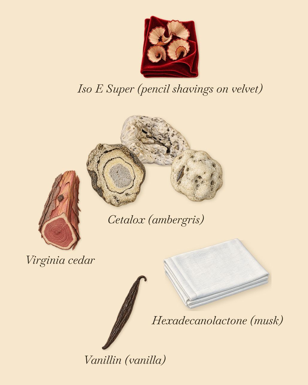 The Tragedy of Lord George, what stays: Cetalox (ambergris), Virginia cedar, Iso E Super (pencil shavings on velvet), Vanillin (vanilla), Hexadecanolactone (musk)