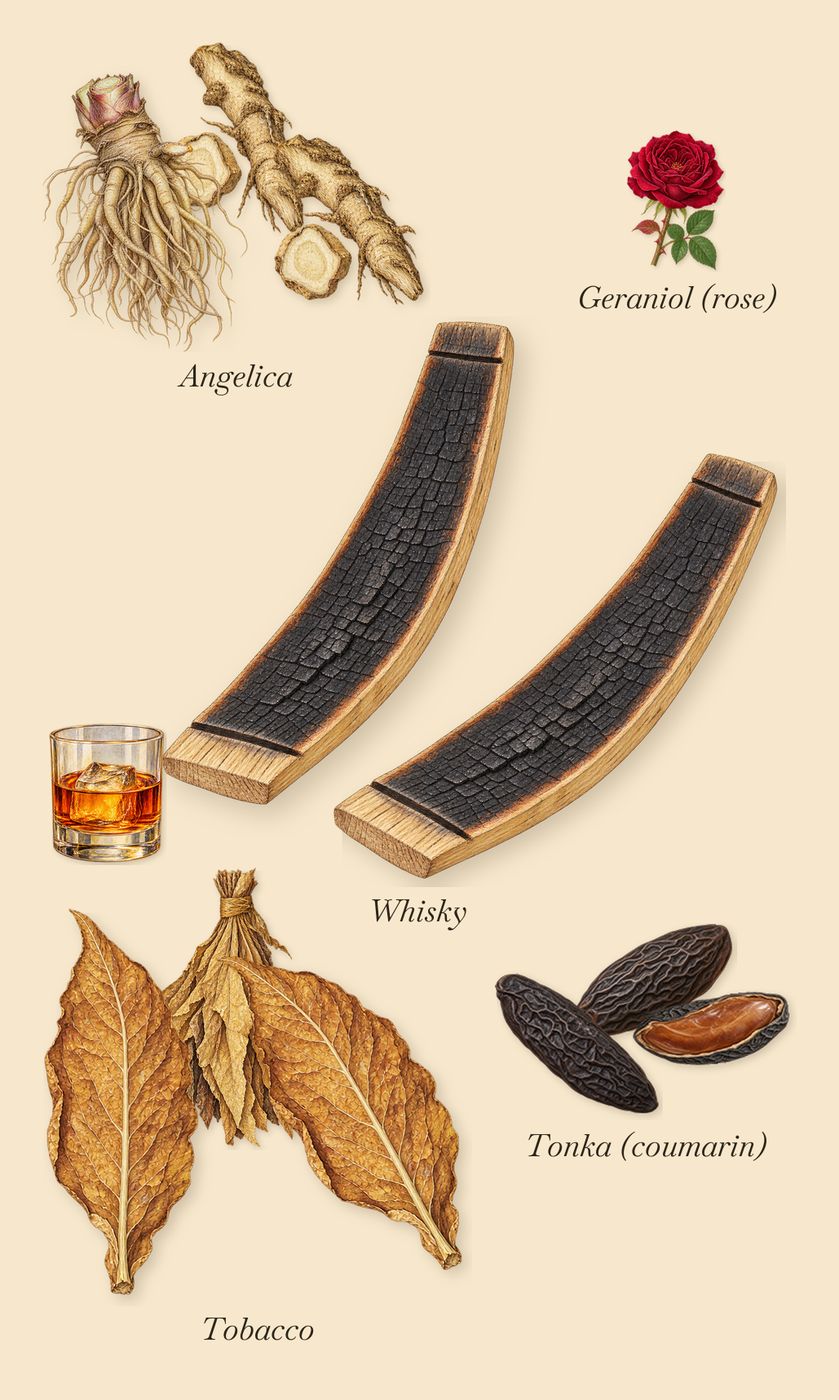 Cosmic Cowboy, as it settles: Whisky, Angelica, Tobacco, Tonka (coumarin), Geraniol (rose)