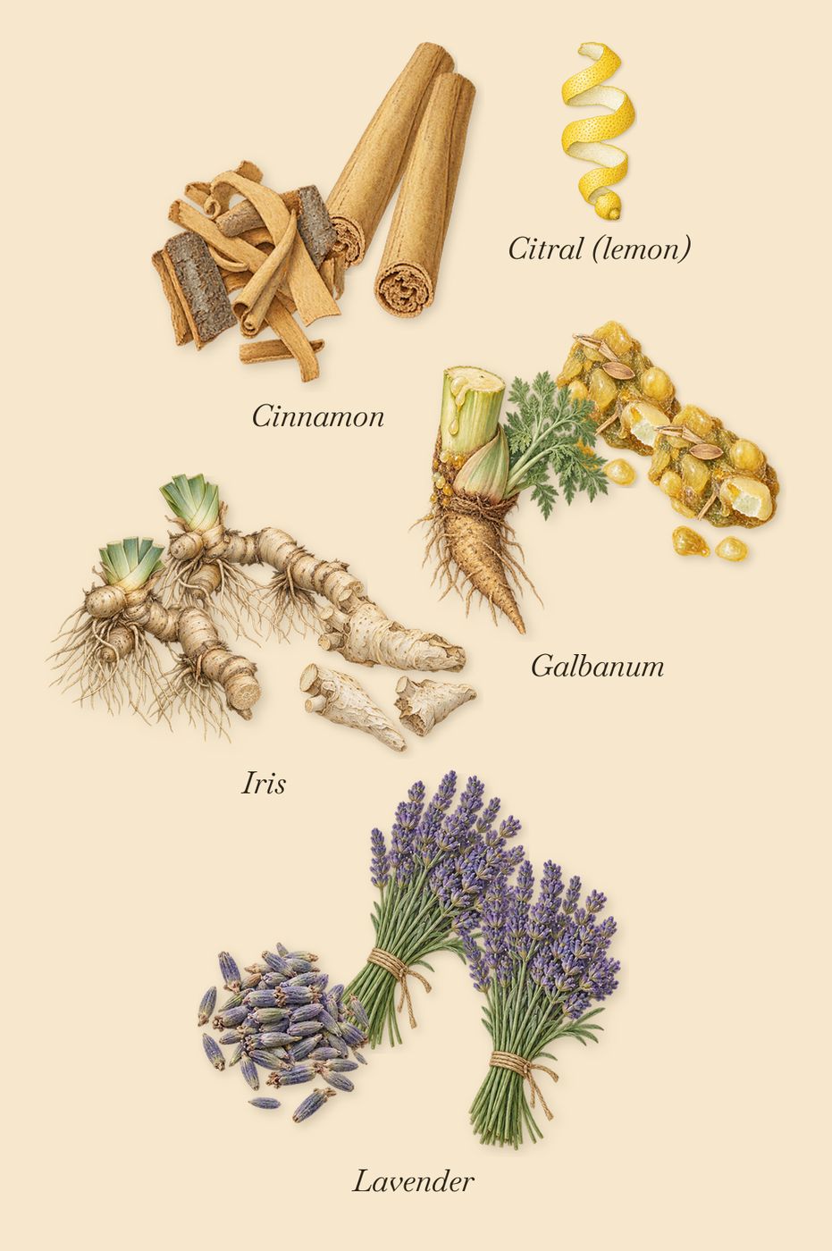 Cosmic Cowboy, when you spray it: Galbanum, Cinnamon, Iris, Lavender, Citral (lemon)