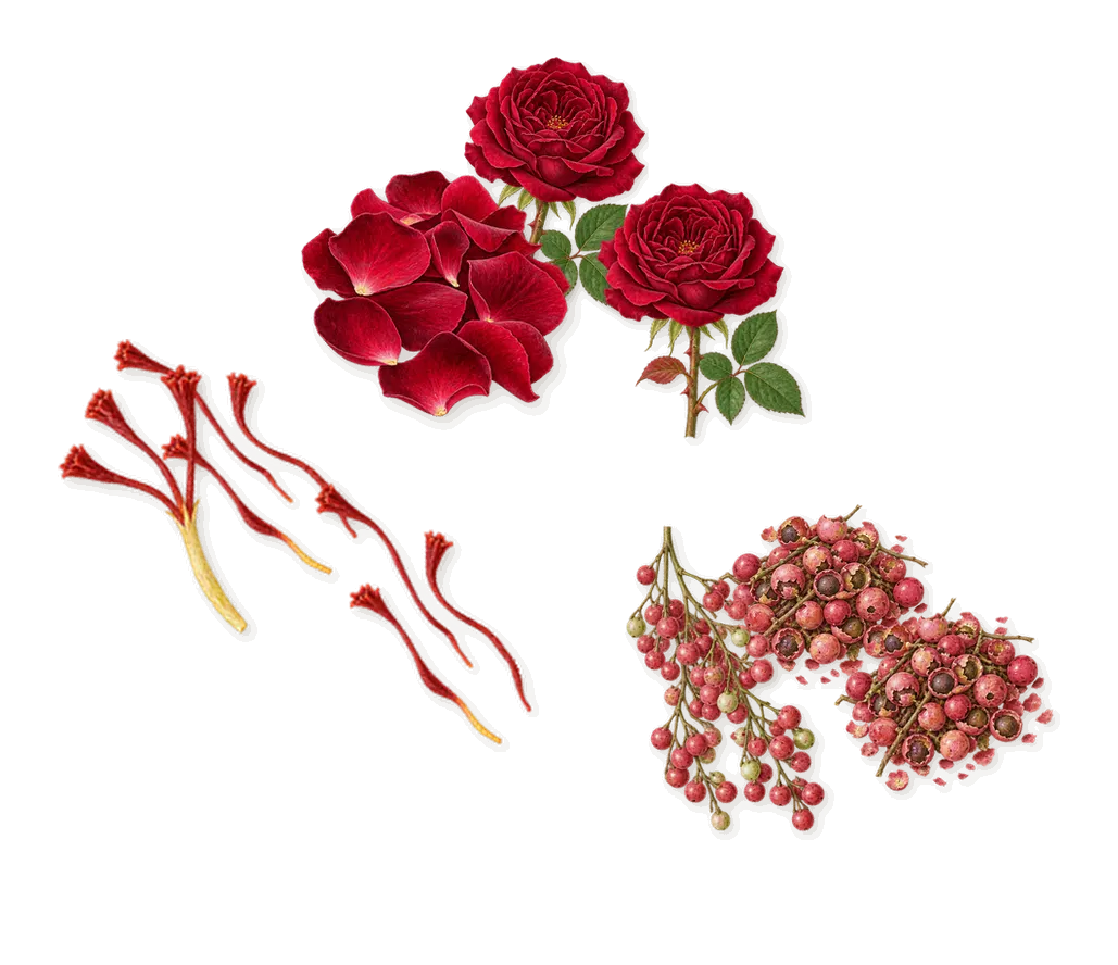 Reine des Anges, when you spray it: Rose, Saffron, Pink pepper