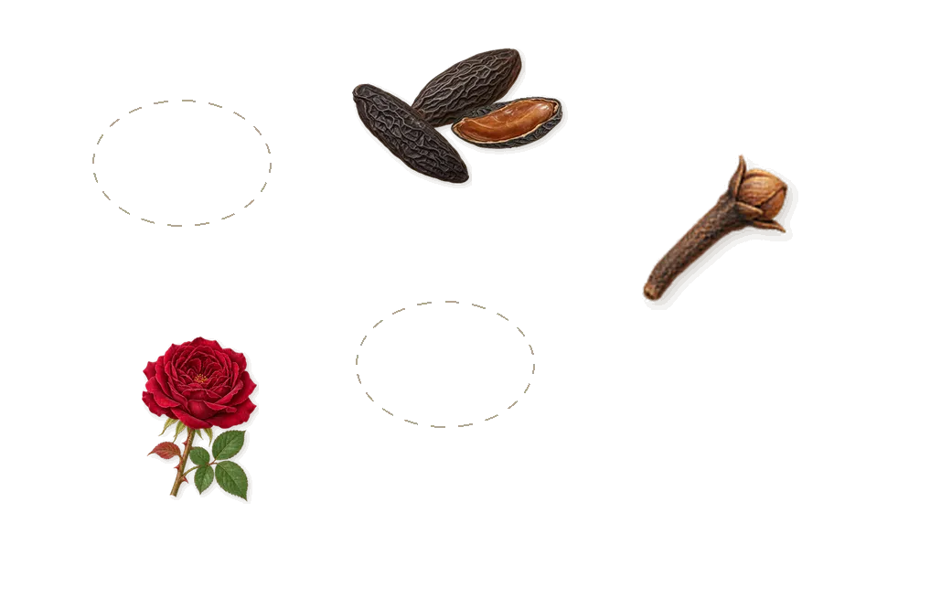 Fava Tonka Perfume, as it settles: Tonka (coumarin), Baunilha, Benjoim, Geraniol (rose), Isoeugenol (clove)