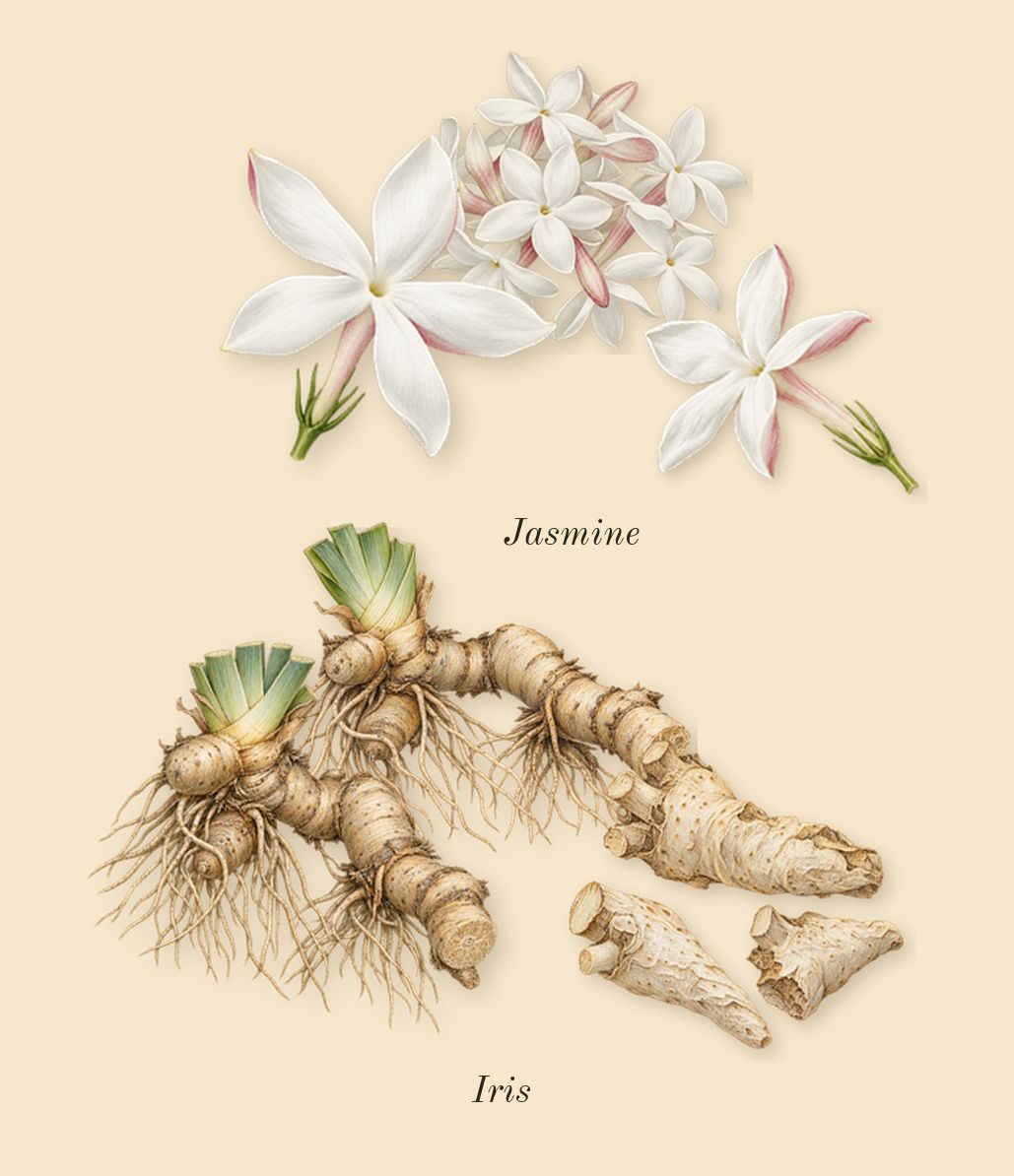 Father Figure, heart: Iris, Jasmine