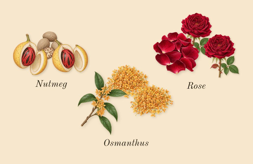 Rose Whip, heart: Rose, Osmanthus, Nutmeg