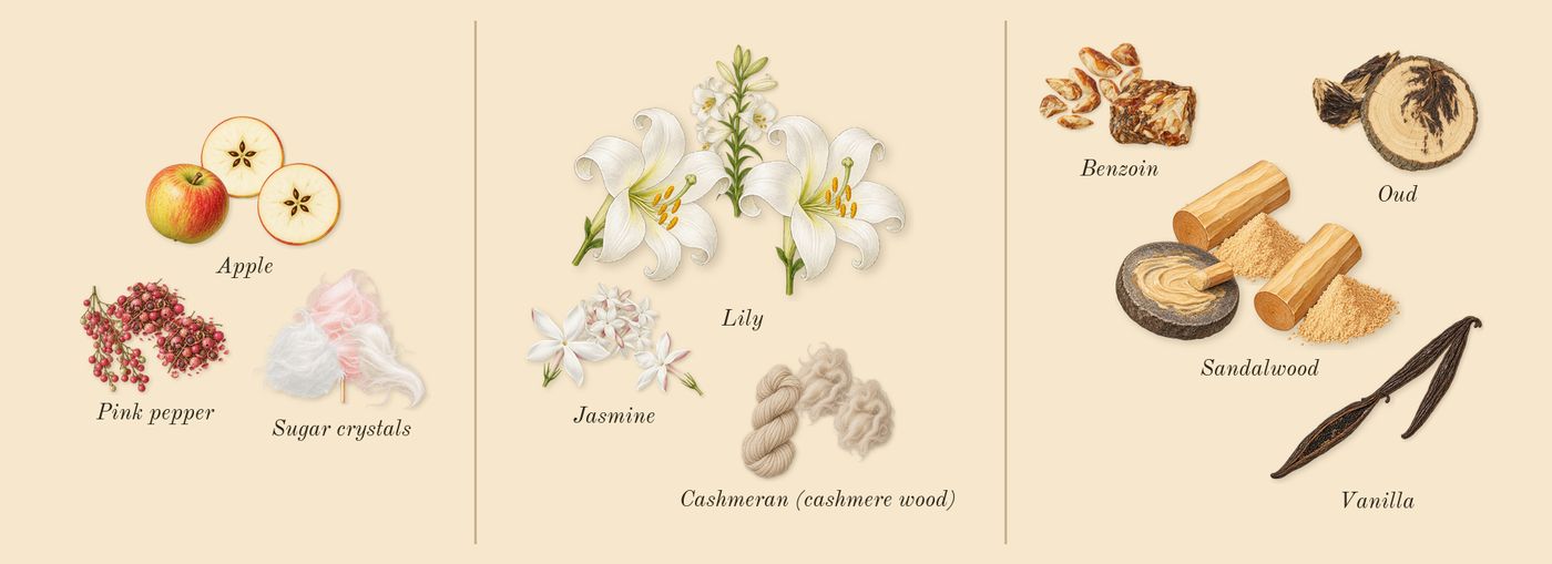 Vanilla Skin’s scent picture, a draft: pink pepper, apple, sugar crystals, lily, jasmine, cashmeran (cashmere wood) drawn so far; dashed outlines where nothing is drawn yet