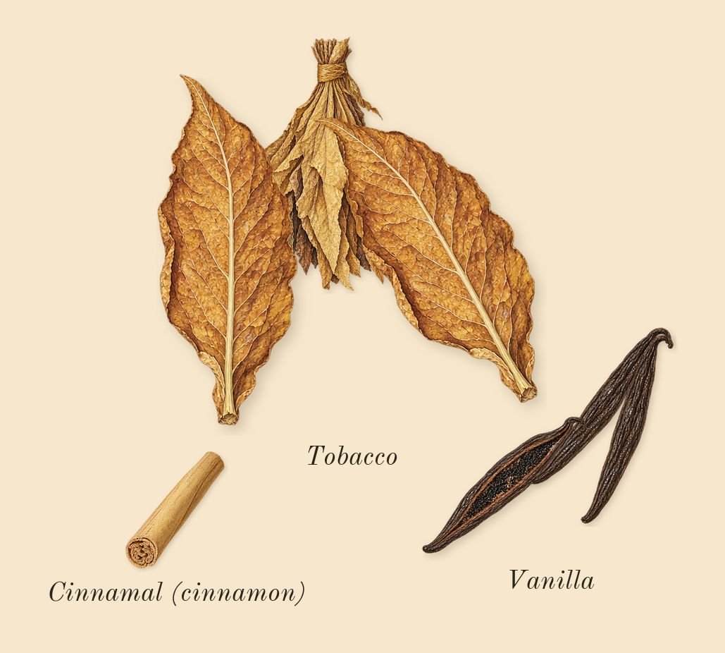 Portrayal Woman, heart: Tobacco, Vanilla, Cinnamal (cinnamon)
