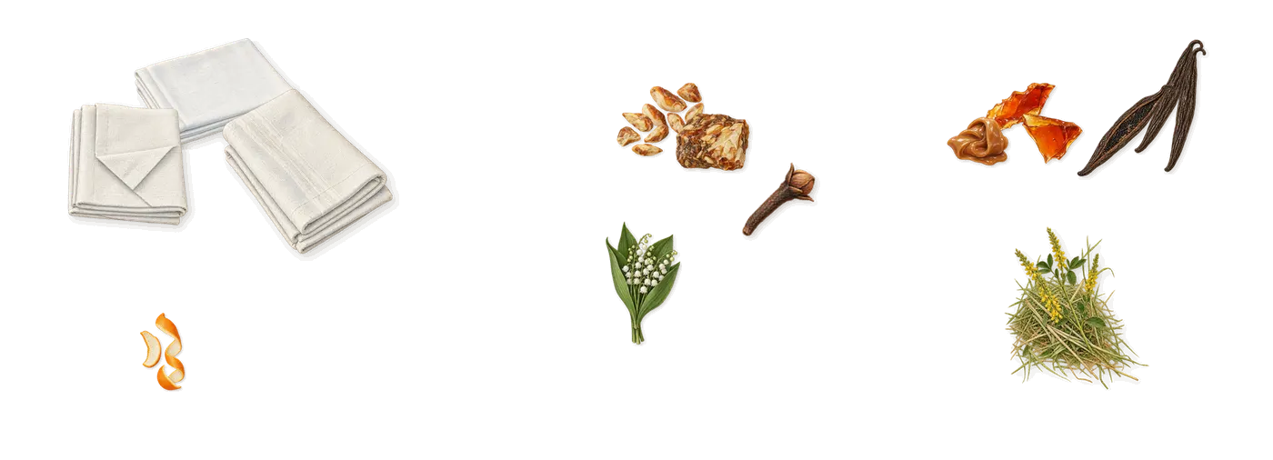 Candy’s scent picture, a draft: white musk, benzoin, caramel, vanilla, coumarin (new-mown hay), limonene (orange peel) drawn so far; dashed outlines where nothing is drawn yet