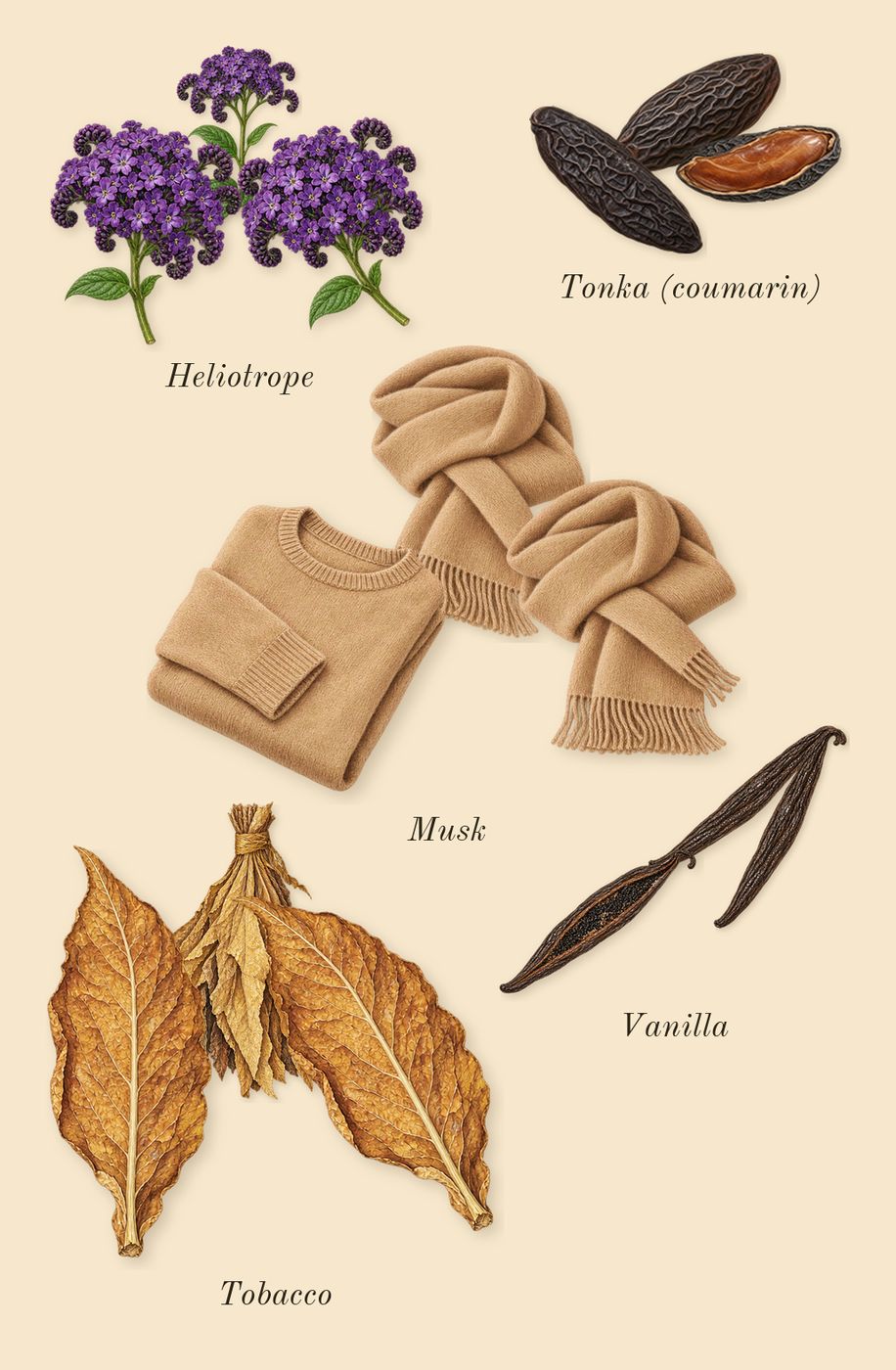 Luna Rossa Sport, dry-down: Tonka (coumarin), Vanilla, Heliotrope, Musk, Tobacco