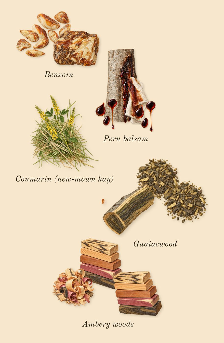 Paradigme, dry-down: Ambery woods, Peru balsam, Benzoin, Guaiacwood, Coumarin (new-mown hay)