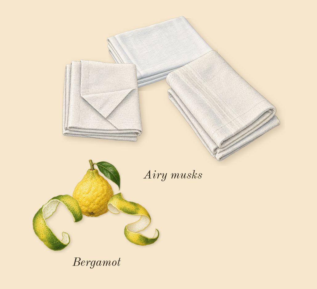 Paradigme, top notes: Bergamot, Airy musks