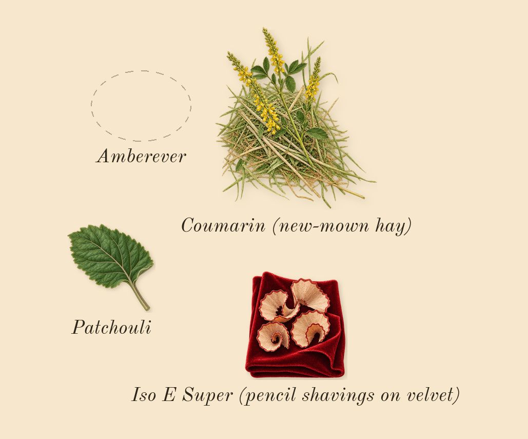 Paradigme Le Parfum, dry-down: Amberever, Patchouli, Iso E Super (pencil shavings on velvet), Coumarin (new-mown hay)