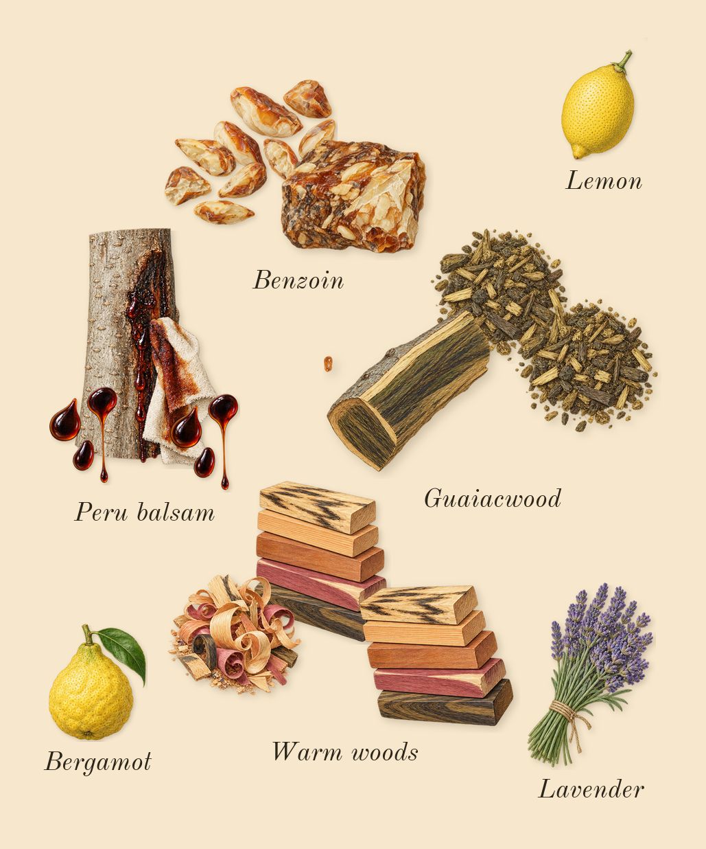 Paradigme Le Parfum, top notes: Warm woods, Peru balsam, Benzoin, Guaiacwood, Bergamot, Lemon, Lavender