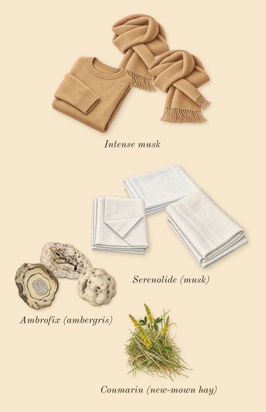 Paradoxe, dry-down: Ambrofix (ambergris), Serenolide (musk), Intense musk, Coumarin (new-mown hay)