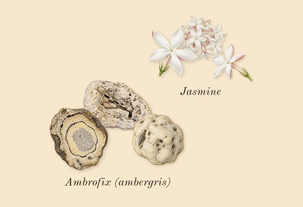Paradoxe Intense, heart: Ambrofix (ambergris), Jasmine