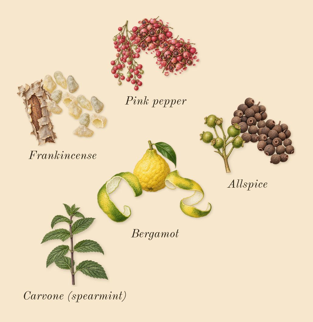 Purpose 50, top notes: Bergamot, Pink pepper, Frankincense, Allspice, Carvone (spearmint)