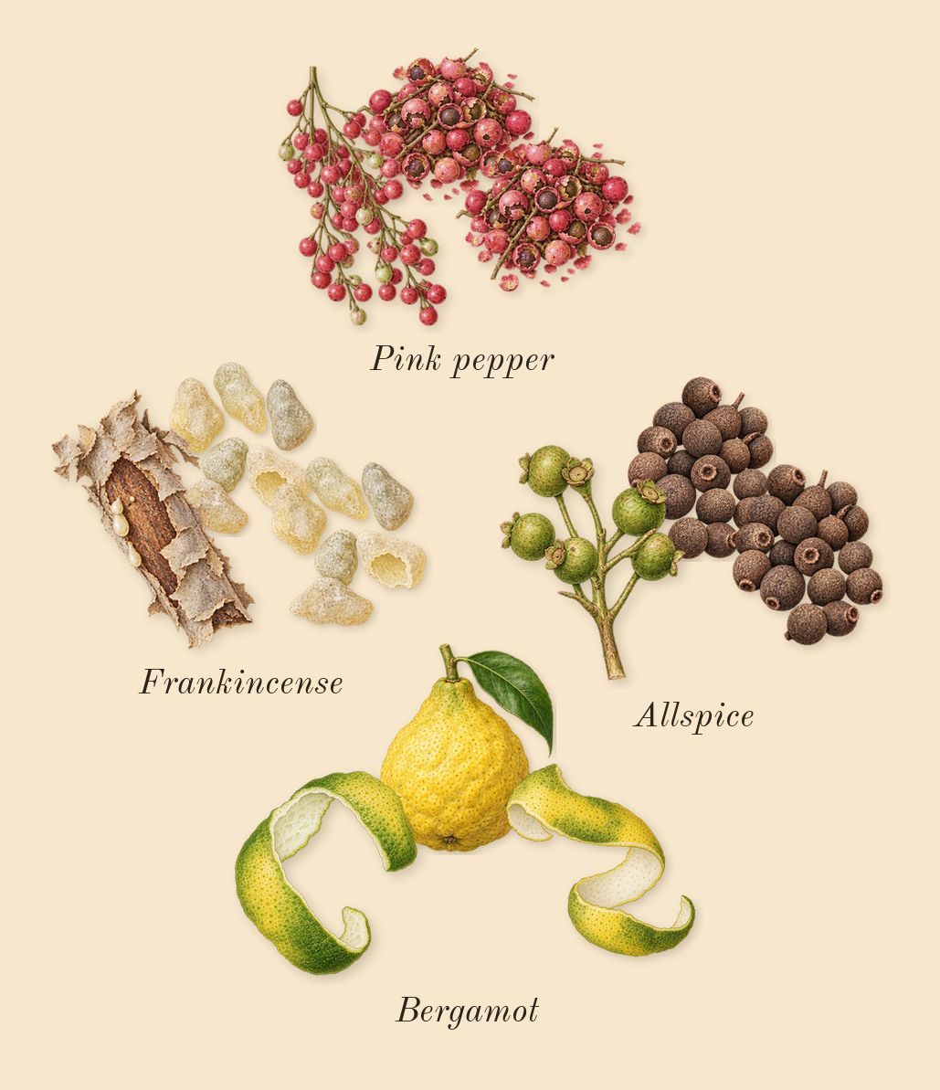 Purpose, top notes: Bergamot, Pink pepper, Frankincense, Allspice