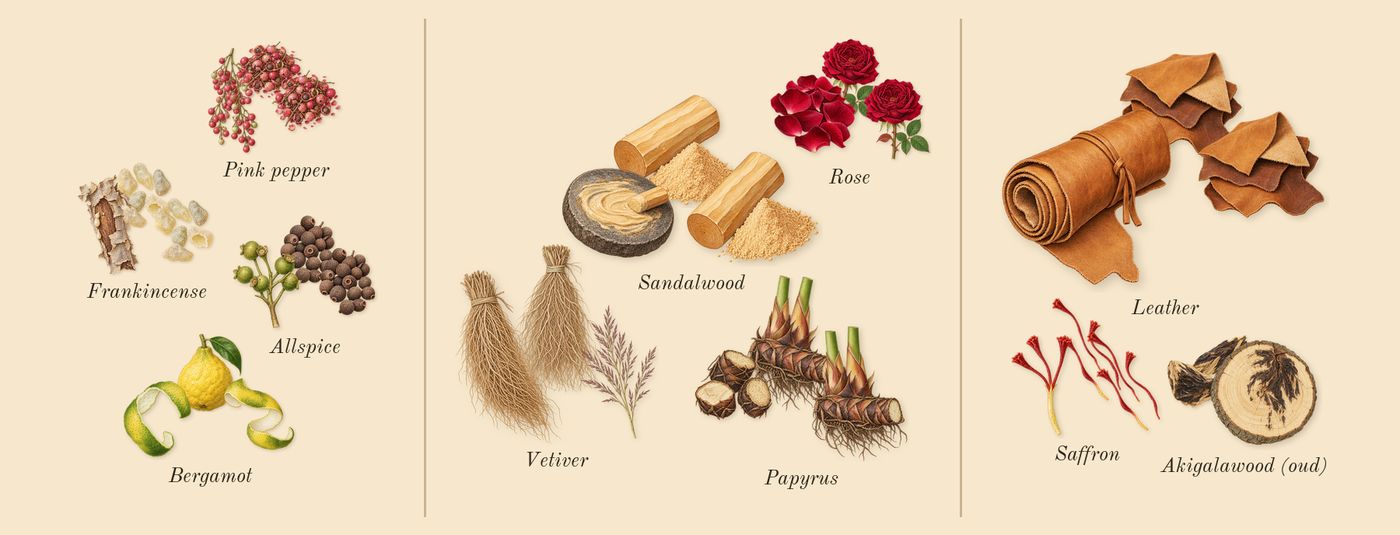 Purpose’s scent picture, a draft: bergamot, pink pepper, frankincense, allspice, rose, vetiver drawn so far; dashed outlines where nothing is drawn yet