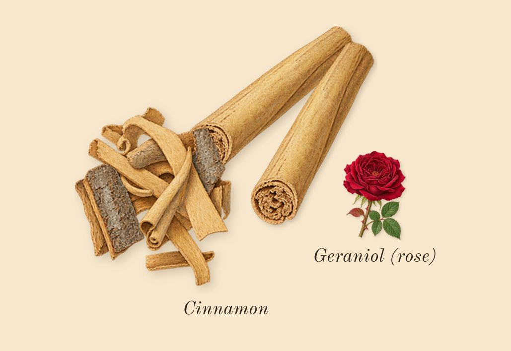 1 Million, heart: Cinnamon, Geraniol (rose)