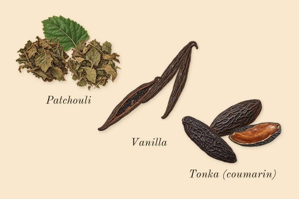 1 Million Elixir, dry-down: Vanilla, Tonka (coumarin), Patchouli