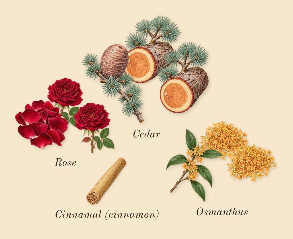 1 Million Elixir, heart: Rose, Osmanthus, Cedar, Cinnamal (cinnamon)