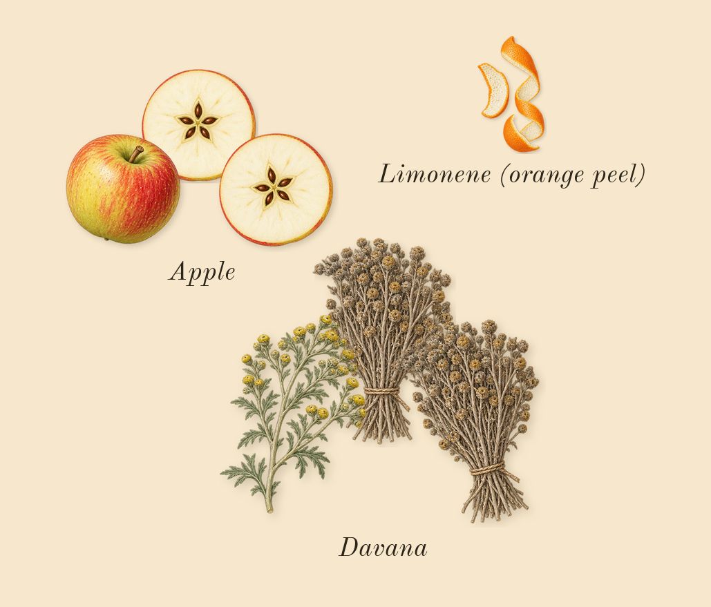 1 Million Elixir, top notes: Davana, Apple, Limonene (orange peel)