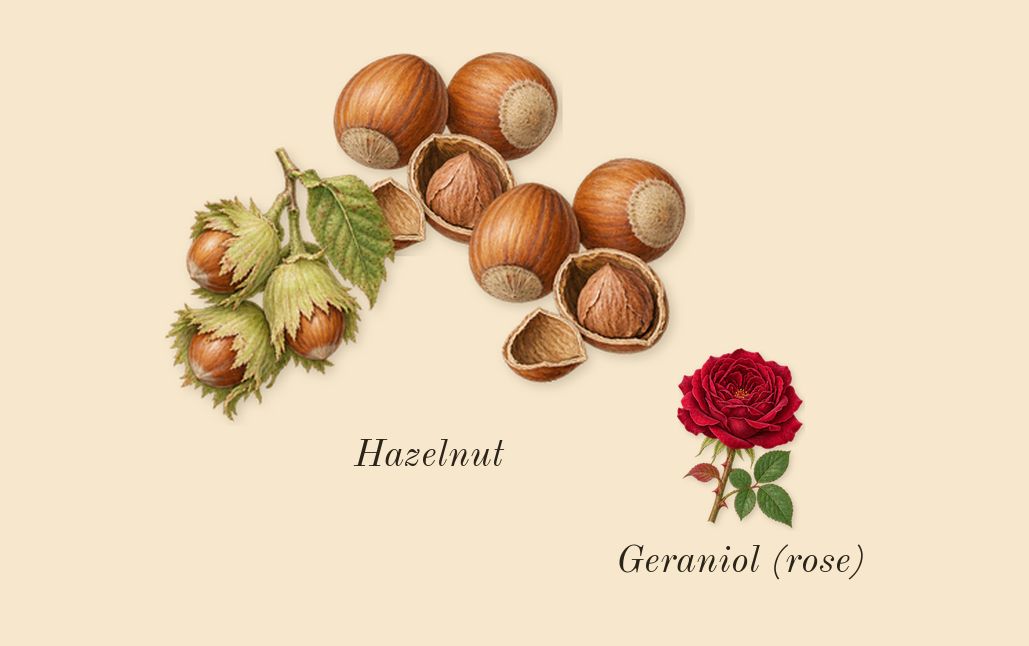 1 Million Lucky, heart: Hazelnut, Geraniol (rose)