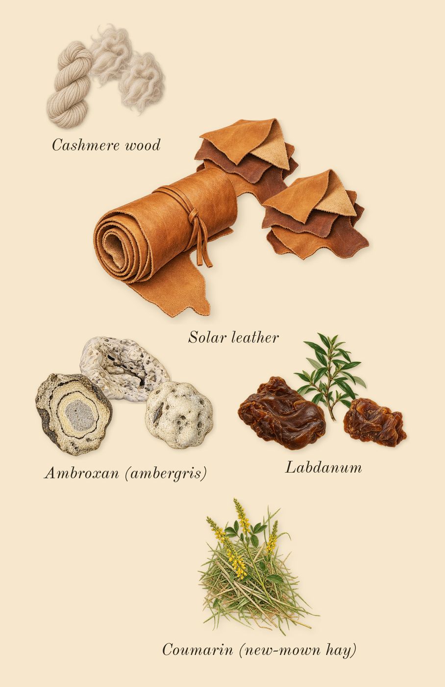 1 Million, dry-down: Solar leather, Ambroxan (ambergris), Cashmere wood, Labdanum, Coumarin (new-mown hay)