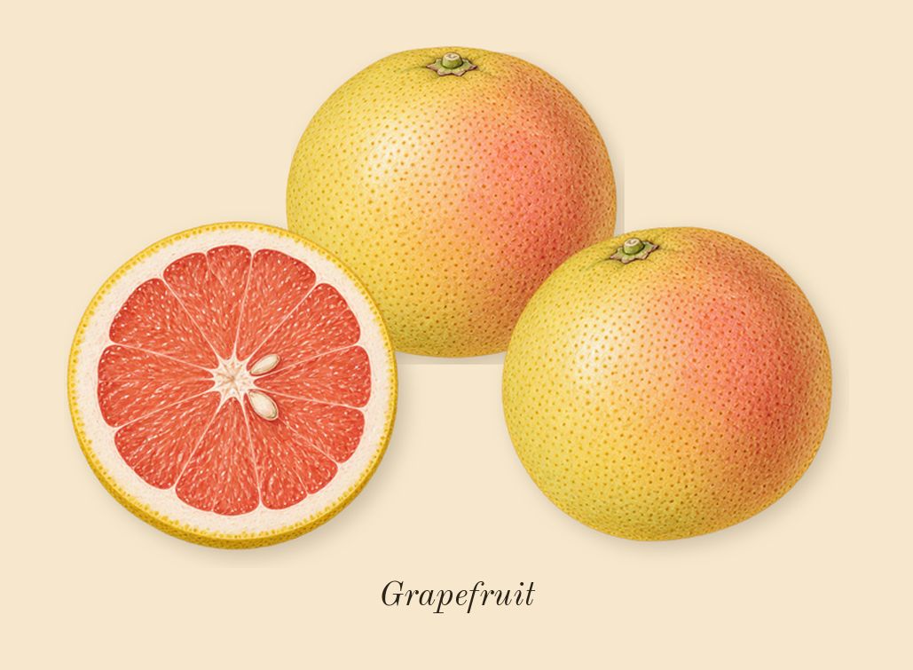 1 Million, top notes: Grapefruit