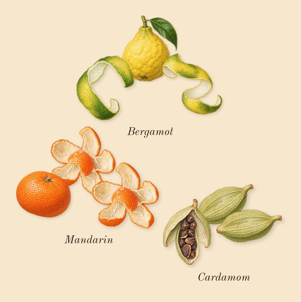 1 Million Royal, top notes: Mandarin, Bergamot, Cardamom