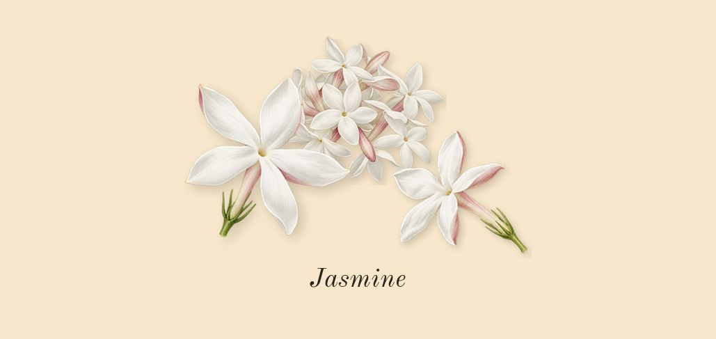 Fame, heart: Jasmine