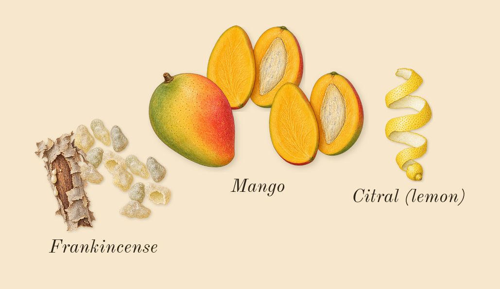 Fame, top notes: Mango, Frankincense, Citral (lemon)
