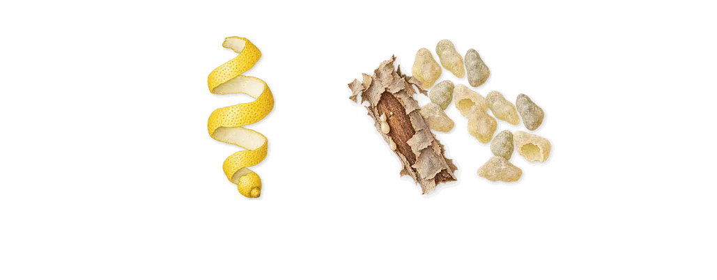 Fame, when you spray it: Frankincense, Citral (lemon)