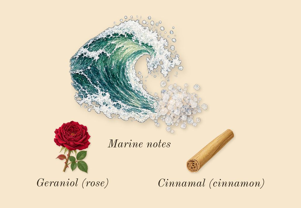 Invictus, heart: Marine notes, Geraniol (rose), Cinnamal (cinnamon)